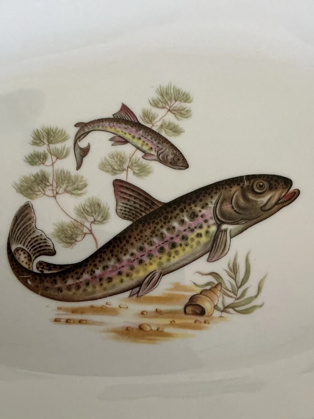 Mitterteich Bavaria Trout Fish Serving Platter